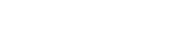 The logo for NPAIHB's NativeDATA website..